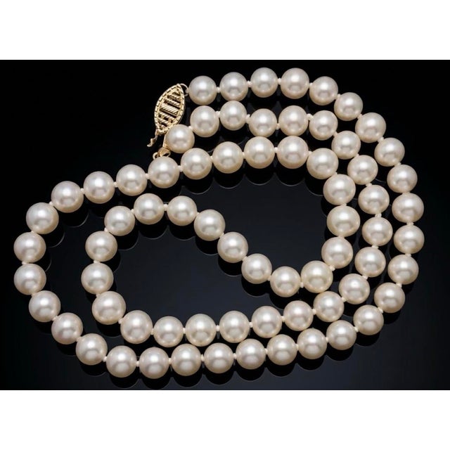 Contemporary 14k Gold Akoya Pearl Necklace With Pink Undertones For Sale - Image 3 of 7