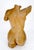 Brown Very Fine Carved Oiled Mango Wood Sculpture of a Nude Female Bust MINT For Sale - Image 8 of 11