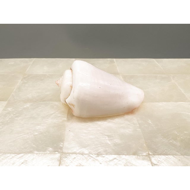 Vintage Coastal Shell Box – Philippine Shellcraft Decorative Storage – Organic Modern / Boho Coastal For Sale - Image 18 of 18