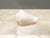 Vintage Coastal Shell Box – Philippine Shellcraft Decorative Storage – Organic Modern / Boho Coastal For Sale - Image 18 of 18