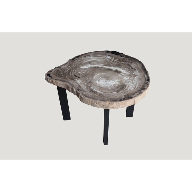 Contemporary Andrianna Shamaris Petrified Wood Slab Table For Sale - Image 3 of 5