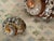 Coastal Set of 3 Natures Beauty Brown Turbo Sea Shells For Sale - Image 3 of 3