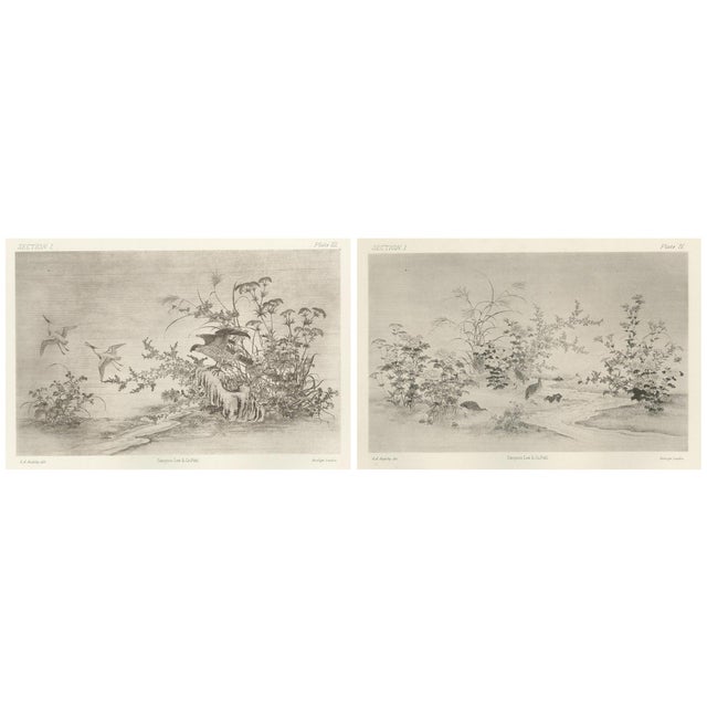 Sampson Low & Co, Nature Scenes, Etchings, 1800s, Set of 2 For Sale