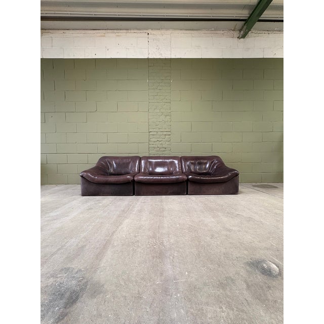 Model DS-46 in Black-Brown Neck Leather from de Sede, Switzerland, 1976, Set of 6 For Sale - Image 6 of 18