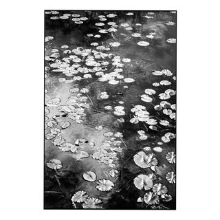 Paul Cooklin, Pembrokeshire Wales 04 0055 Edit, Edition of 50 For Sale