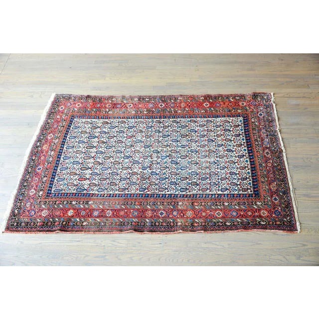 Early 20th Century Nehaband Rug For Sale - Image 12 of 13
