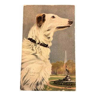 Antique French Postcard of Beautiful White Dog For Sale