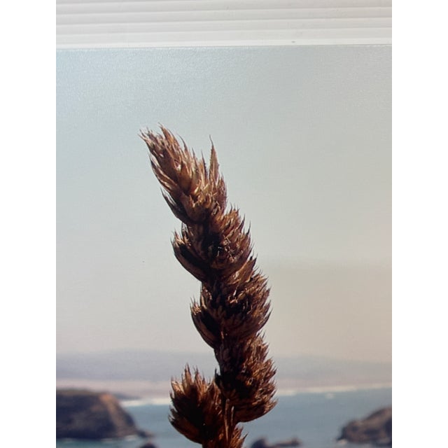 Design Plus Gallery presents a Color Photograph on Stretched Canvas of the Coastal Landscape of Big Sur, California. The...