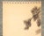 Khaki "Samurai", Late Meiji to Early Showa Japanese Silk Scroll Painting For Sale - Image 8 of 12