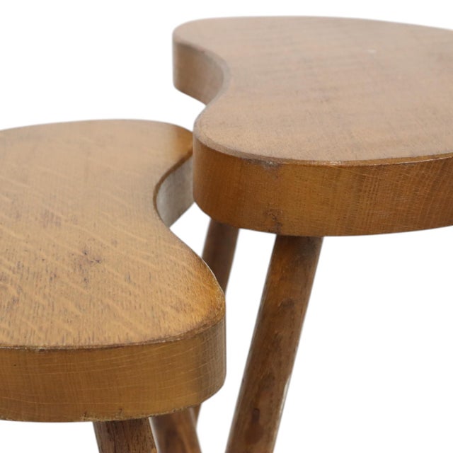 Brown Vintage Wooden Kidney-Shaped Nesting Tables Wood, 1960s, Set of 2 For Sale - Image 8 of 17