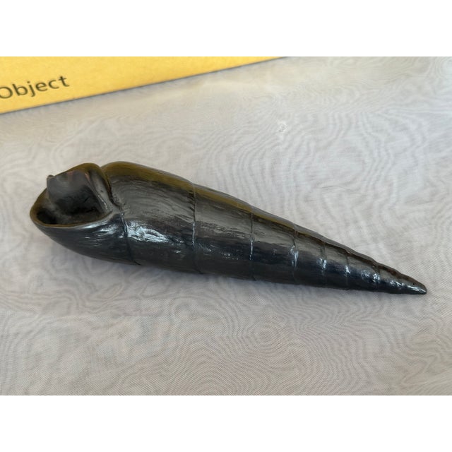 2000 - 2009 Graphite Shell Sculpture by Agelio Batle For Sale - Image 5 of 10