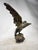 Statue Depicting an Eagle with Open Wings, 1890s-1910s, Bronze For Sale - Image 11 of 13