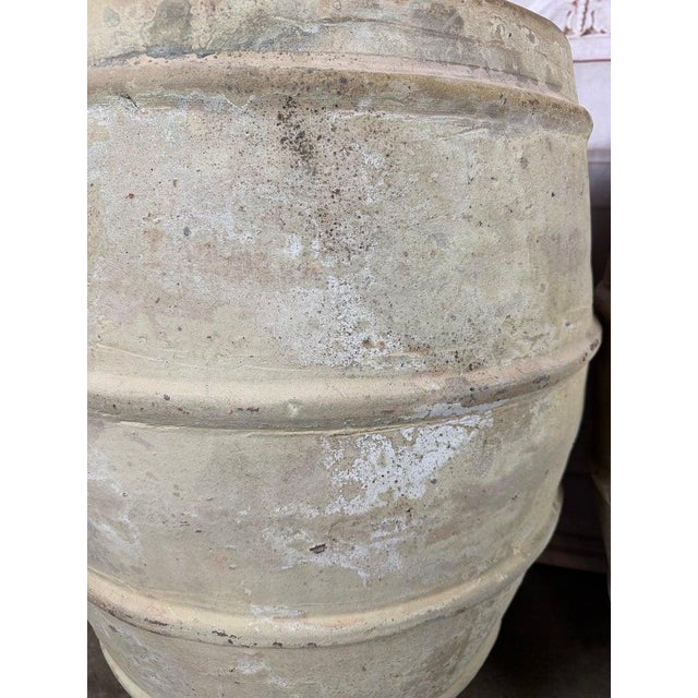 Pair of French Style Olive Jar Planters - Terracotta Barrel Pots For Sale - Image 10 of 13