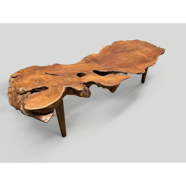 2010s Andrianna Shamaris Sculptural Organic Teak Wood Coffee Table For Sale - Image 5 of 18