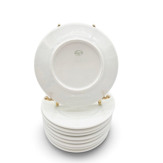French Apilco Sèvres White Porcelain Appetizer Plates, Set of 9 For Sale In San Francisco - Image 6 of 10