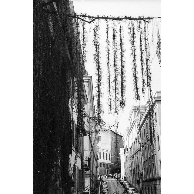 Paul Cooklin, The Streets of Rome, Italy I, Edition of 50 For Sale - Image 7 of 7