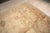 8x11 Peshawar Hand Knotted Wool Rug, Gold and Rust Oushak Design For Sale - Image 9 of 14