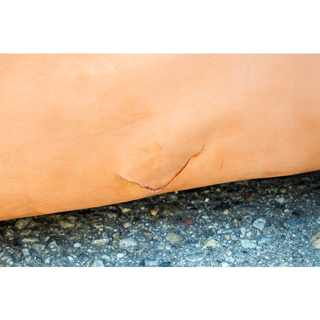 Lounge Chairs for Brunati, Set of 2 For Sale - Image 9 of 10