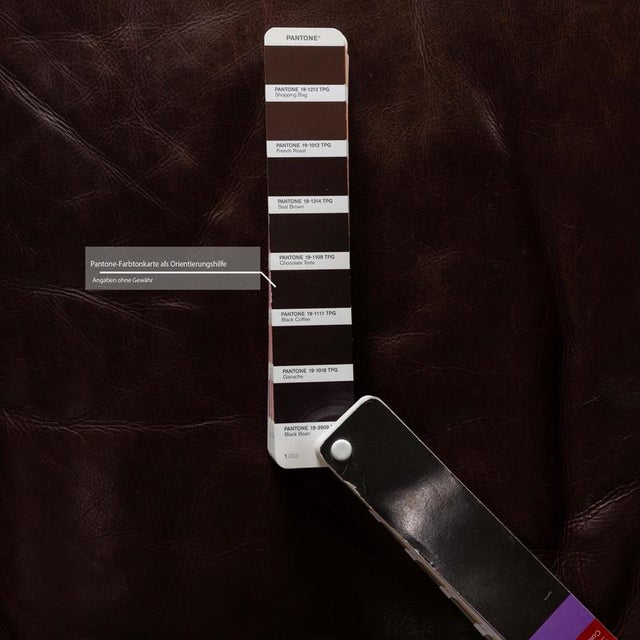 Valentino 2-Seater Sofa in Brown Leather from Machalke For Sale - Image 5 of 10