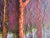 Orange "Enchanted Forest" - Large Contemporary Abstract Landscape Painting by Diane Grant For Sale - Image 8 of 12