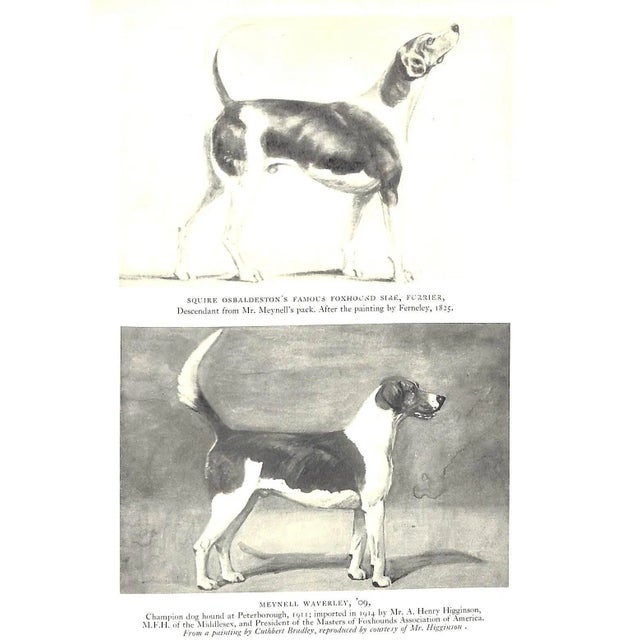 "Hounds and Hunting: Through the Ages" 1933 Thomas, Joseph B. [m.f.h.] For Sale In New York - Image 6 of 16