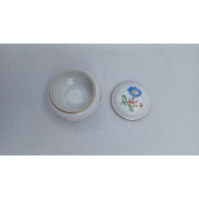 Mid-Century Modern Vintage Porcelain Trinket Box with Hand-Painted Morning Glory Deutsche Blumen from Meissen, 1950s For Sale - Image 3 of 9