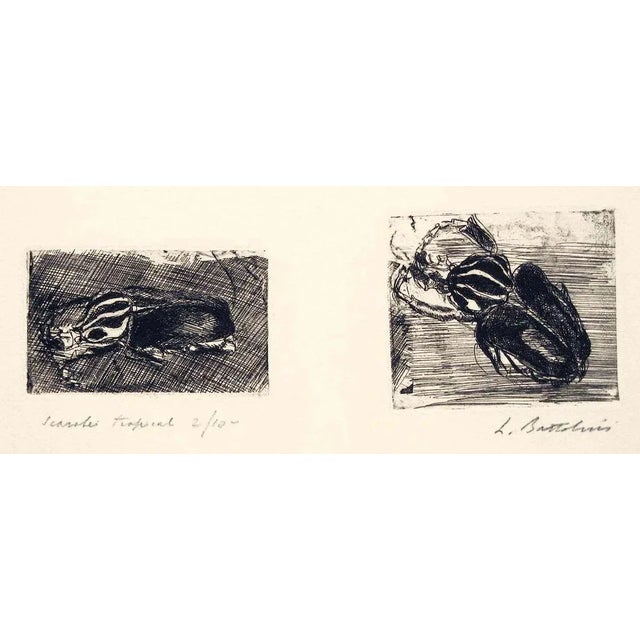 Scarabei Tropicali - Etching by Luigi Bartolini - 1930 1930 For Sale - Image 4 of 4