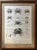 Zoology Crabs 1805-12 - Description De l'Egypte Antique Large Engraved Plate For Sale - Image 12 of 12
