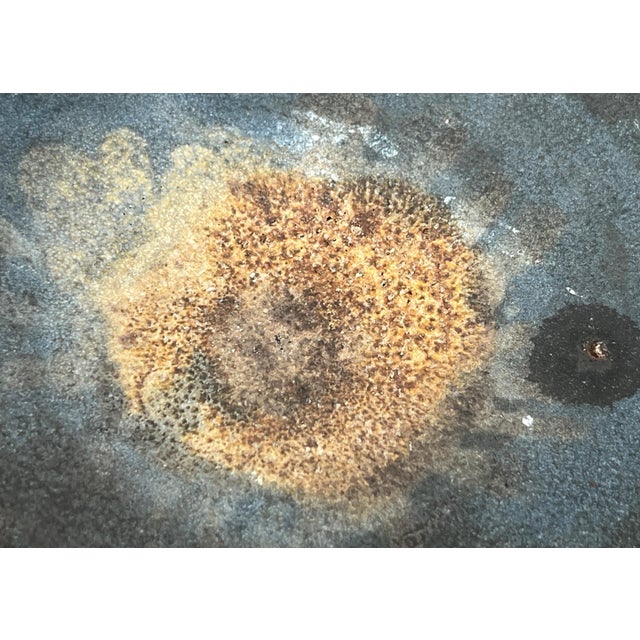 Mid-Century German Studio Pottery Bowl by Volker Ellwanger, 1960s For Sale - Image 12 of 17