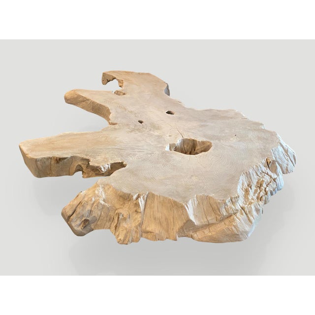 Andrianna Shamaris Amorphous Mid Century Style Bleached Teak Wood Coffee Table For Sale - Image 13 of 18