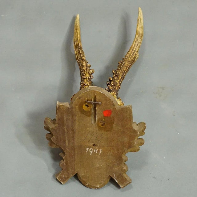 Black Forest Vintage Deer Trophy on Carved Plaque 1947 For Sale - Image 6 of 6