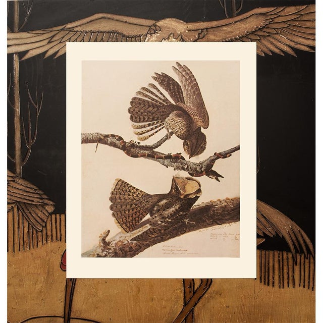 1966 Vintage Farmhouse Cottage Print "Chuck Wills" After John James Audubon For Sale In Dallas - Image 6 of 7