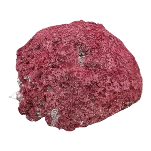 Very Large Red Coral Specimen #3