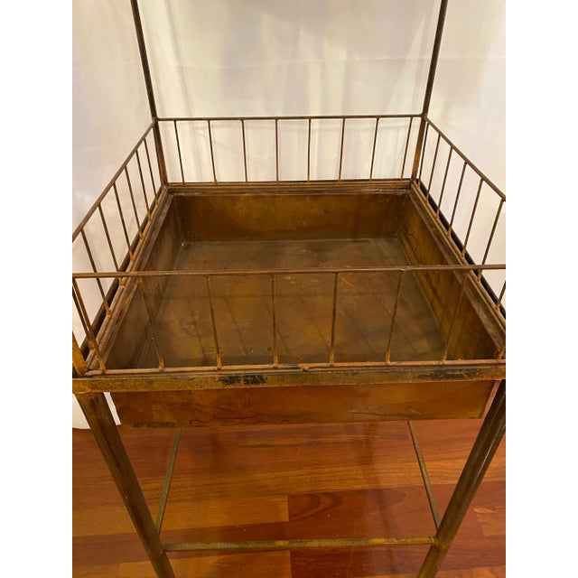 Antique Victorian Wrought Iron Wardian Terrarium Plant Case Stand For Sale - Image 10 of 13