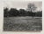 Brown Architectural Photograph Collection Robert Spreng (1890-1969) Basel Switzerland Schwarz Park - Set of 10 For Sale - Image 8 of 18