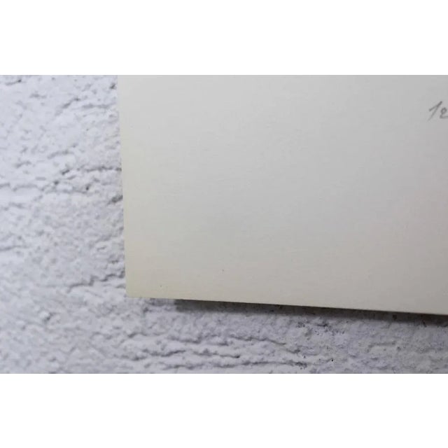 Modern Jurg Keller, Jardin Sud, 1970, Lithograph For Sale - Image 3 of 11