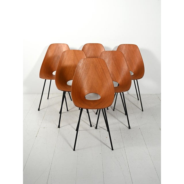 Medea Chairs in Mahogany by Vittorio Nobili for Fratelli Tagliabue, 1950s, Set of 6 For Sale - Image 15 of 15