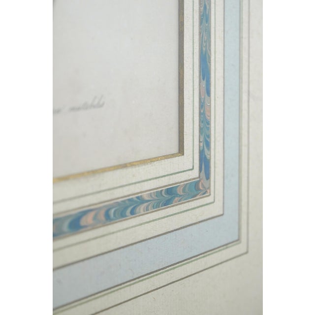 1900s Pair of Floral Engraving Prints Artwork For Sale - Image 9 of 14