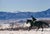 A Horse Ride In The Snow by Toni Frissell A female horse rider gallops across a snowy landscape, 1967. (Photo by Toni...