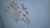 Flower Sculpture from Curis Jeré, 1970s For Sale - Image 4 of 13