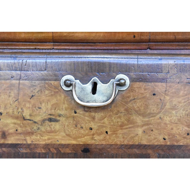 Brown 19th Century George III English Burr Walnut Chest of Drawers For Sale - Image 8 of 14