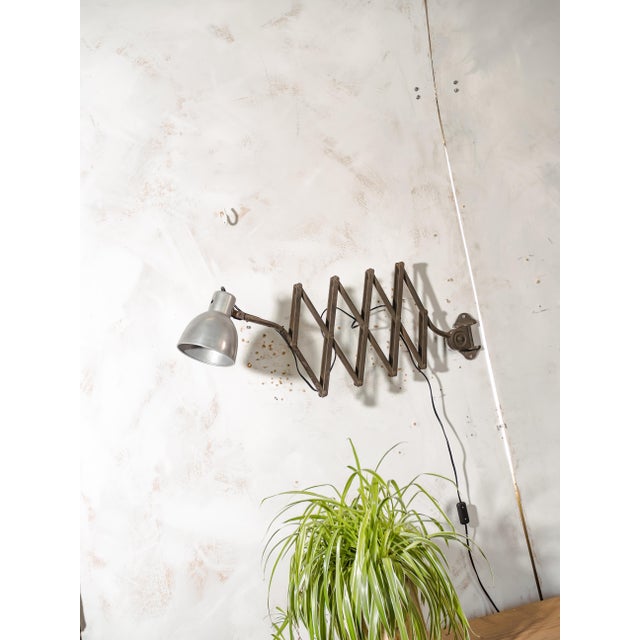 Vintage Army Green Patina Scissor Lamp from Hala, 1930s For Sale - Image 12 of 18