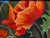 Created in 2025 by Ukrainian artist Zoriana Pavlyshyn, “Poppies” is an original oil painting on canvas (40×50 cm /...