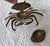 1950s Mid Century Brass Crab Decorative Object For Sale - Image 5 of 5