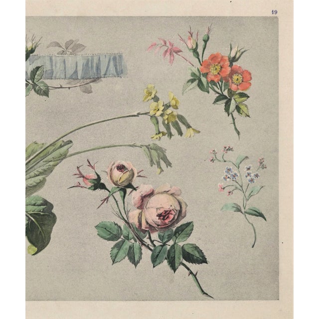 Art Nouveau C1900 French Antique Art Nouveau Botanical Chromolithograph For Sale - Image 3 of 3