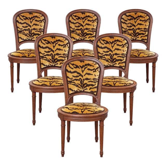 Set of 6 French Louis XVI Style Fruitwood Dining Chairs Scalamndre Tiger Velvet For Sale