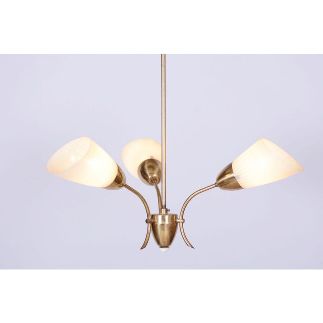 Gold Mid-Century Chandelier in Brass and Frosted Glass, Czech, 1950s For Sale - Image 8 of 12