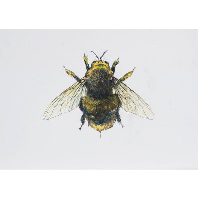 Juris Utans, Royal Bee, 2021, Mixed Media and Paper For Sale - Image 3 of 3