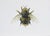 Juris Utans, Royal Bee, 2021, Mixed Media and Paper For Sale - Image 3 of 3
