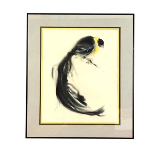 "Blackbird" Watercolor Painting Artist Unknown For Sale